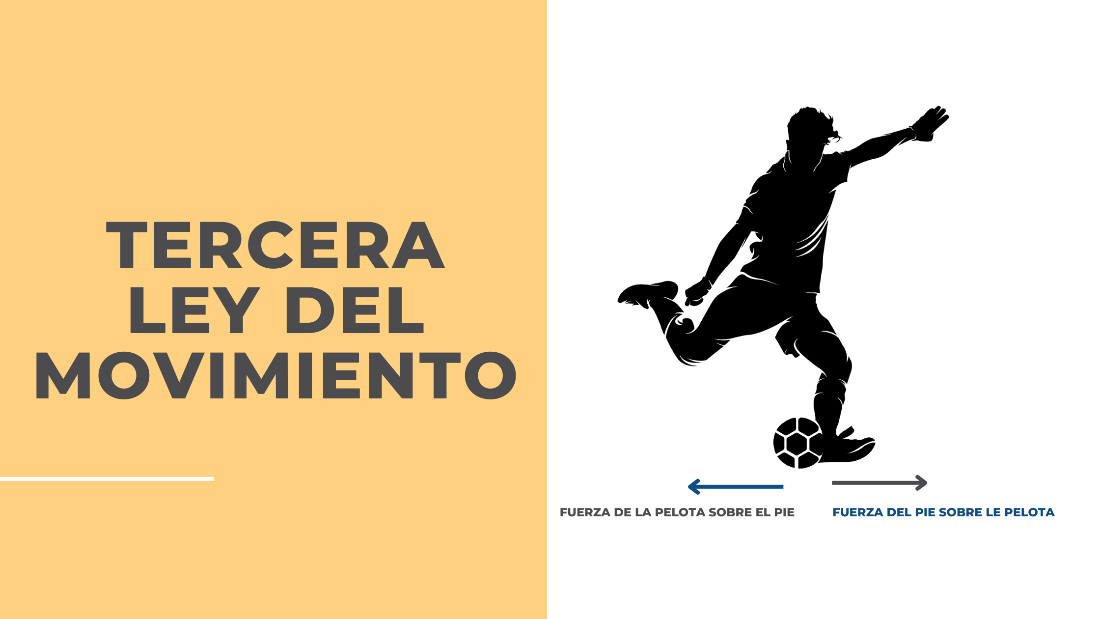 Grandes descubrimientos de la humanidad. Las leyes del movimiento